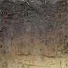 Soil and Geotechnical